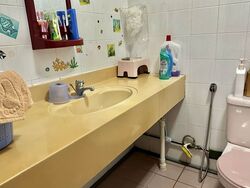 Blk 290 Bishan Heights (Bishan), HDB 4 Rooms #521968221
